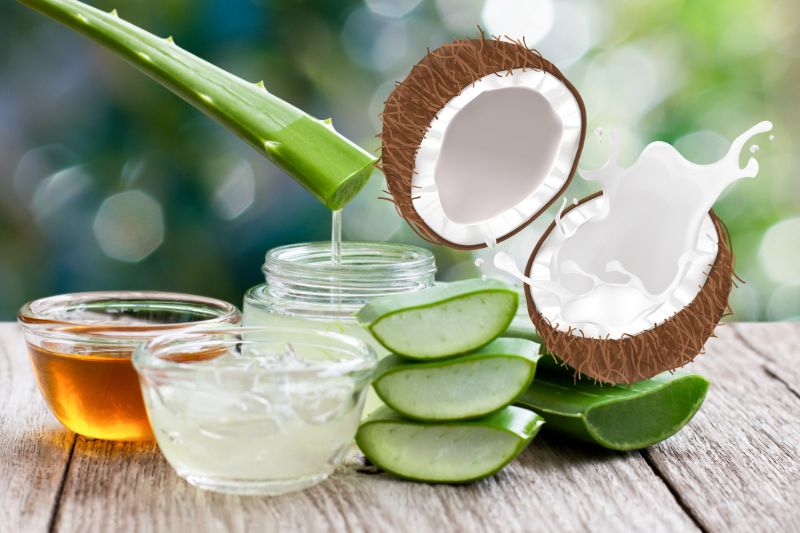 Coconut Oil and Aloe Vera Gel For Skin Care